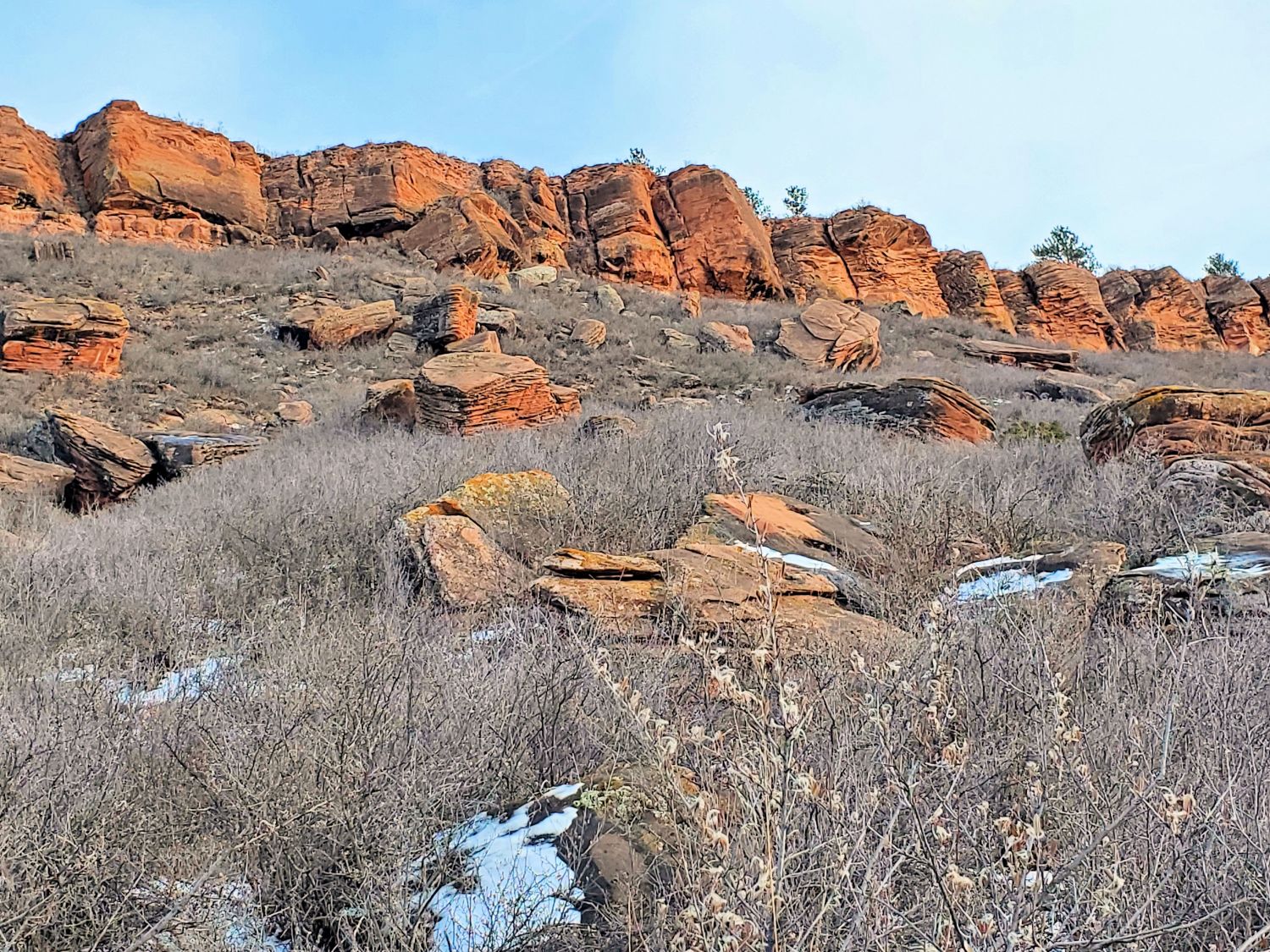 Horsetooth 